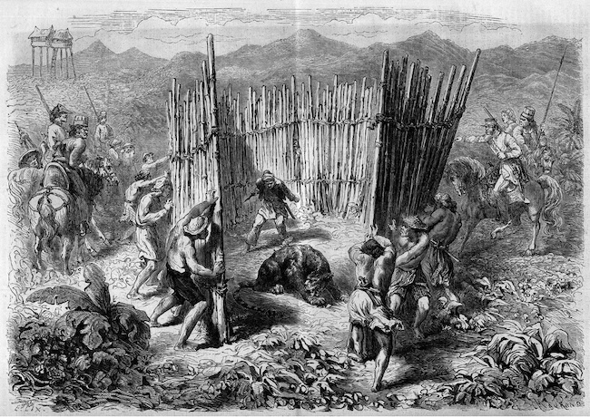 Pemburuan harimau di Pulau Jawa pada tahun 1862. Ukiran dalam “Le Monde Illustré” Nr.251, 1 Februari 1862. Creative Commons.